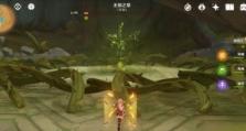 《幻塔三星联合》攻略分享（打法技巧详解，让你轻松过关）
