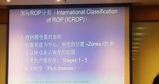 《解密ROP5-1攻略，突破游戏极限》（攻略）