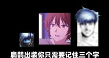 《以扁鹊思路为主题的出装攻略》（探究扁鹊的出装心得，助你在战场上成为无敌的治疗大师！）
