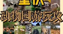 动物乐园游戏攻略（让你的动物乐园成为最受欢迎的游戏之一！）