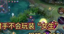 射手如何打败妲己出装攻略（精准命中要害，尽显射手风采）