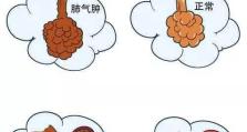 隐形杀手出装攻略（低段位玩家必看，教你如何利用隐形杀手装备逆袭对手！）