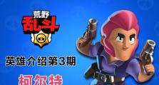 荒野乱斗3（掌握最佳装备组合，畅享战场胜利！）