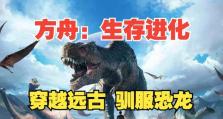 流浪方舟套路技能选择攻略（探索技能组合，解锁游戏潜力）