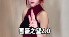 《蔷薇之剑技能加点攻略》（优化你的战斗技巧，成为顶尖的剑士！）
