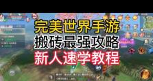 《掌握商业绝技，成为完美世界商人攻略大全》（从小商贩到巨富巨富，揭秘完美世界商人的致富秘籍）