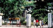 《以螳螂炸鱼出装最新攻略》（掌握关键装备，提升胜率）